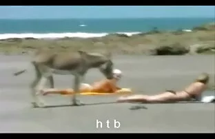 فيديو مجاني المرح 4.htb