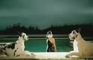 فيديو مجاني ليدي غاغا المص