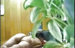 فيديو مجاني الآسيوية فتاة الكبار الجمبري