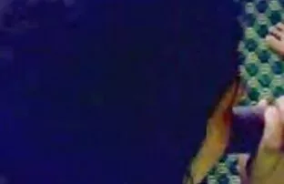 فيديو مجاني عرب عرب