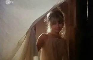 فيديو مجاني - فراشة