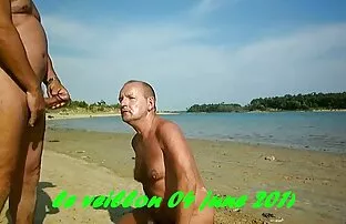 فيديو مجاني المبحرة على الشاطئ