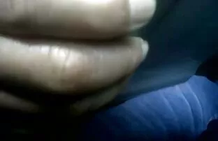فيديو مجاني ن
