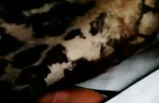 فيديو مجاني اضغط على الحافلة