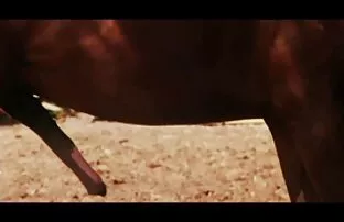 فيديو مجاني انا