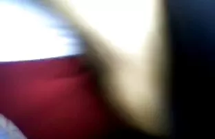 فيديو مجاني لمس باص القط