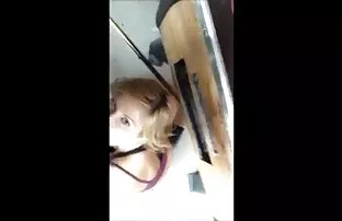 فيديو مجاني اخرس ، أو سوف يسمعوننا!