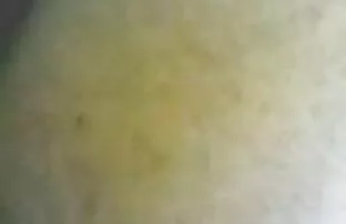 فيديو مجاني الجنس الملايو
