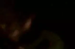 فيديو مجاني أشرطة الفيديو المجانية ، عالية الجودة ، الجنس للمرأة ، الإباحية