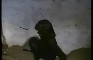 فيديو مجاني خمر الألمانية في الجنس فيلم كوميدي فتاة Jucken Kumpel 2