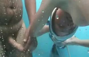 فيديو مجاني كابينة الشاطئ 1