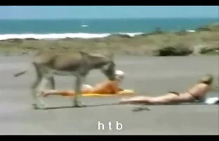 فيديو مجاني المرح 4.htb