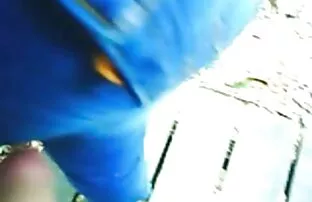 فيديو مجاني الهواة البرازيلي cumshots الفرنسية أحمر الجنس فيلم الإنجليزية