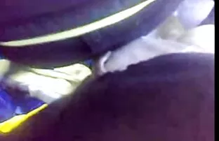 فيديو مجاني فيلم كلب مثير