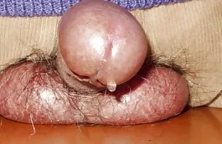 فيديو مجاني الرجل العجوز الياباني منتصب القضيب تظهر الشرائح عن قرب