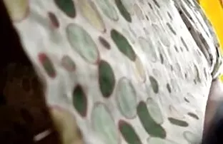 فيديو مجاني المتلصص سكرتيرات الجاسوس