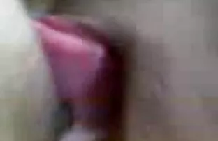 فيديو مجاني بانادورجاي سريلانكا 2