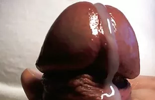 فيديو مجاني الديك رئيس المدقع عن قرب
