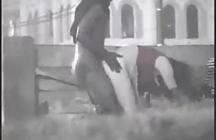 فيديو مجاني كلب عاهرة مزين في حديقة ديترويت