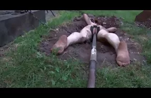 فيديو مجاني الذل العام BDSM - أنت عبد الرقيق