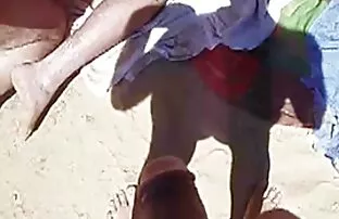 فيديو مجاني خنازير الشاطئ