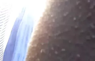 فيديو مجاني أي ريبو
