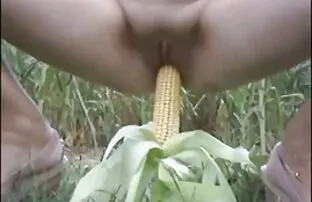 فيديو مجاني الهند